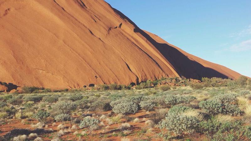 Featured image for Agntmax Com article