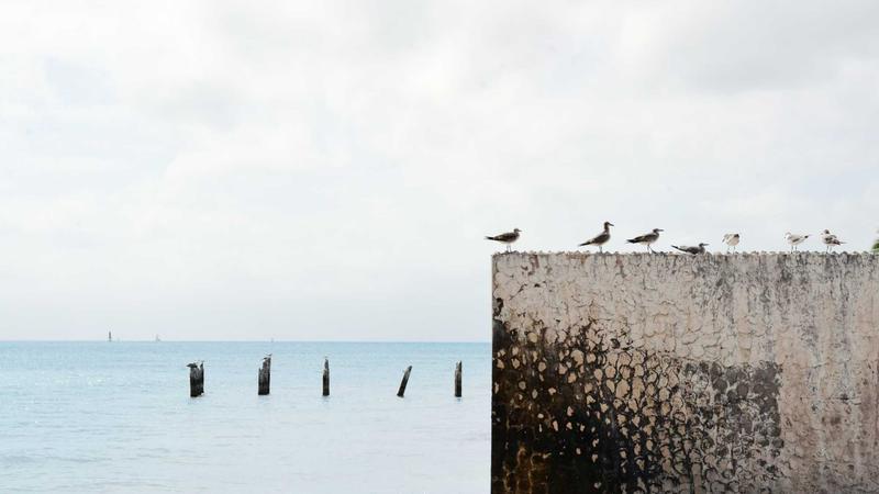 Featured image for Agntmax Com article