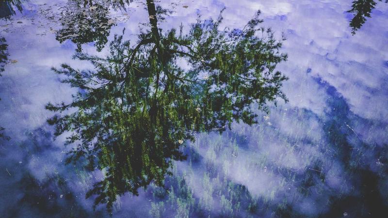 Featured image for Agntmax Com article