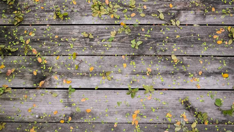 Featured image for Agntmax Com article