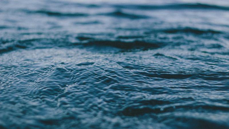 Featured image for Agntmax Com article