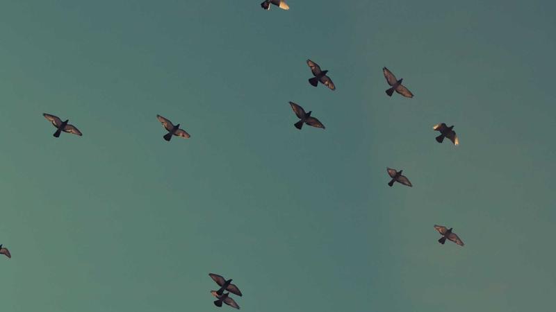 Featured image for Agntmax Com article