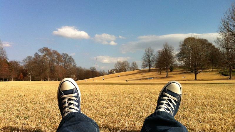 Featured image for Agntmax Com article