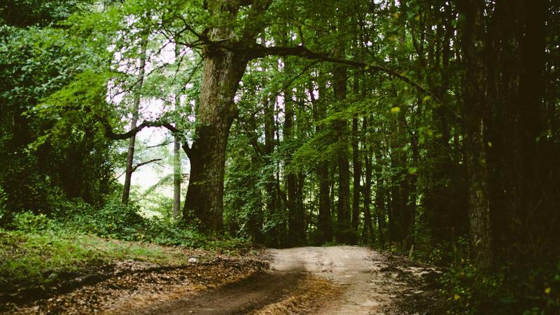 Featured image for Agntmax Com article