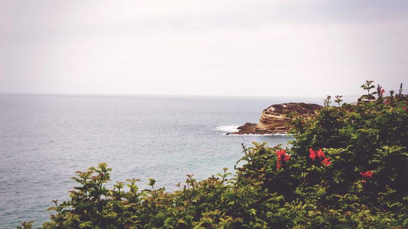 Featured image for Agntmax Com article