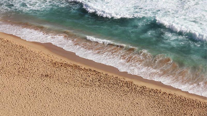 Featured image for Agntmax Com article