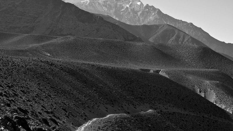 Featured image for Agntmax Com article