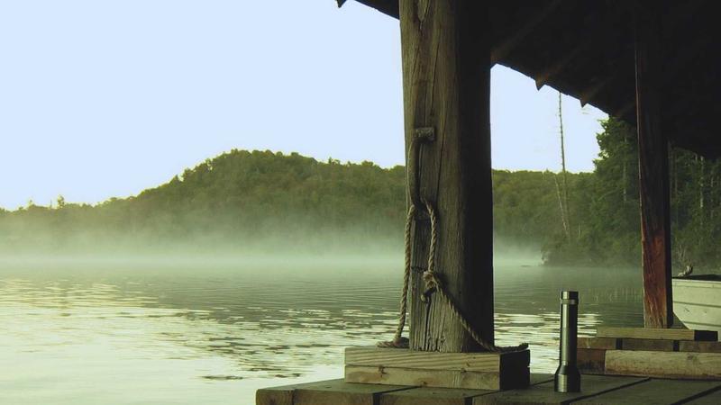 Featured image for Agntmax Com article