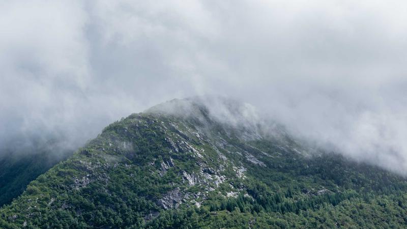 Featured image for Agntmax Com article