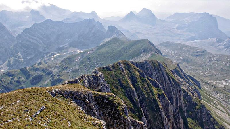 Featured image for Agntmax Com article