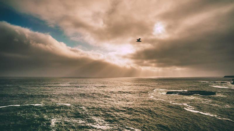 Featured image for Agntmax Com article