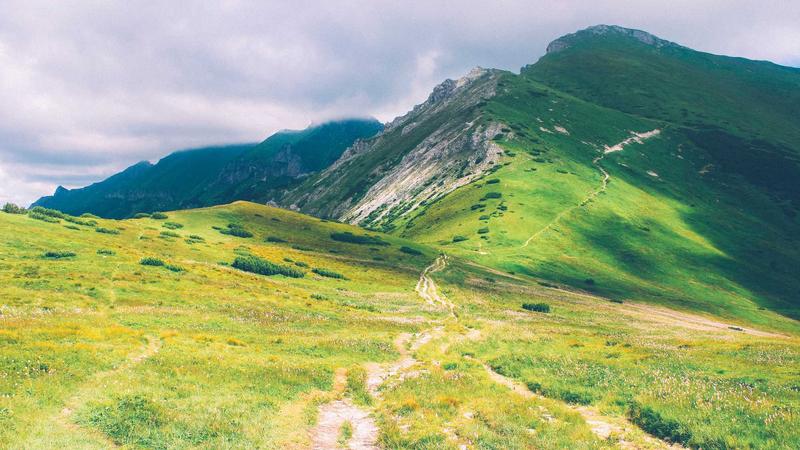 Featured image for Agntmax Com article