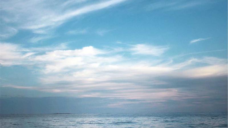 Featured image for Agntmax Com article