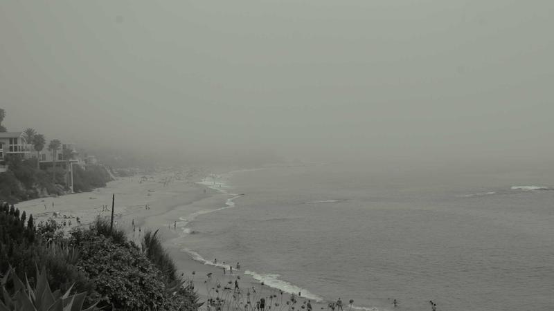 Featured image for Agntmax Com article